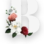 banner3-1